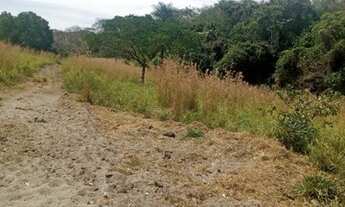 Imagem 6: Vende-se Fazenda: Posto Gil (Terra de Cultura