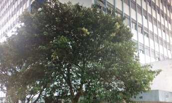 Imagem 2: Apartamento para aluguel e venda possui 120 metros quadrados e 3 quartos