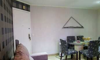 Imagem 3: Apartamento 3 dormitórios com 1 vaga - Cambuci - São Paulo - SP