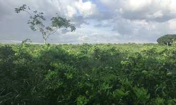 Imagem 3: IMÓVEL RURAL EM UBAJARA