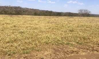 Imagem 2: Vende-se Fazenda: Posto Gil (Terra de Cultura