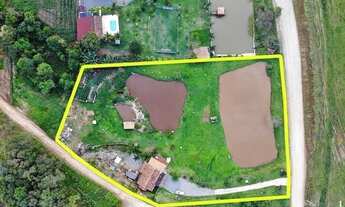 Imagem 4: Sítio Alto padrão com 3 dormitórios à venda, 10000 m² por R$ 1.500.000 - Morro Alto - Baln