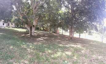 Imagem 5: VENDO SÍTIO NA BR174- KM16