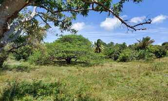 Imagem 5: Vende-se uma granja com 2 ha com rio perene - Povoado de Caiana - Ceará Mirim - RN