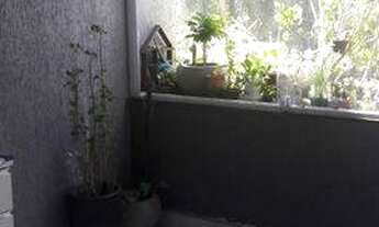 Imagem 6: São Paulo - Casa Padrão - TATUAPÉ