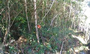 Imagem 4: Nova Lima - Loteamento/Condomínio - Cond. Arvoredo