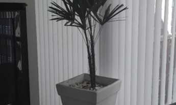 Imagem 5: FLAT DUPLEX NA CARLOS SAMPAIO PARA LOCAÇÃO