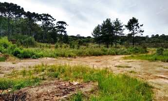 Imagem 3: Excelente Chácara Sem benfeitorias