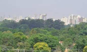 Imagem 2: VILA NOVA MUITO PROCURADO