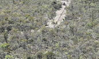 Imagem 7: Fazenda Brumadão Alto Paraguai-MT Fazenda com 1.299 HA Escriturada