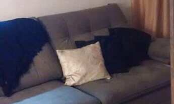 Imagem 7: LINDO APARTAMENTO 03 DORMITÓRIOS NO HORTO DO YPÊ