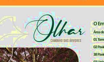 Imagem: Imperdivel Olhar Caminho das Árvores