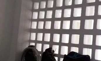 Imagem 6: Kitnet residencial à venda,mobiliada, sem vaga, Aclimação, São Paulo