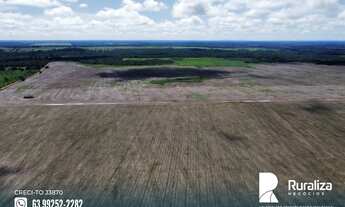 Imagem 6: Áreas para arrendamento na região do Vale do Araguaia TO