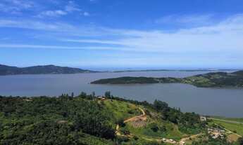 Imagem 4: LINDO SÍTIO 3.1 HECTARES COM ÁGUA! ACESSO FÁCIL