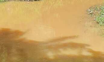 Imagem 6: Vendo fazenda em Nazaré das farinha