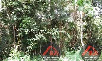 Imagem 4: Sitio 5.000m² a 4km do asfalto Jaboticatubas(Temos varias opções)