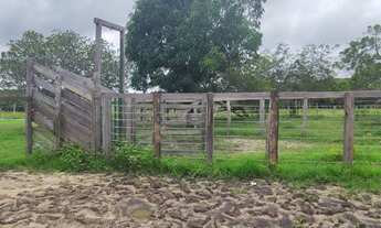 Imagem 7: Vendo excelente fazenda em aldeias-MA