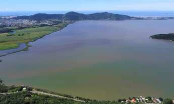 Imagem 5: LINDO SÍTIO 3.1 HECTARES COM ÁGUA! ACESSO FÁCIL