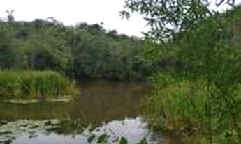 Imagem 7: Terra Verdes - Lagoa Santa