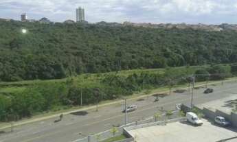 Imagem 4: Apartamento - Bosque dos Eucaliptos - Spazio Campo Lazio - 3 Dormitórios - 63 m² SEM ELEVA