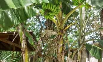 Imagem 5: Sitio em Benevides