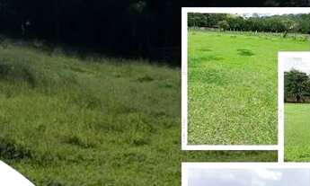 Imagem: LP - Vendo terreno para sua comodidade