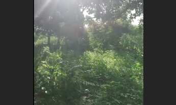 Imagem 2: Vendo ou troco lote 10 x 30 no bandeirante em Maracanaú