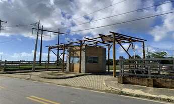 Imagem 5: Fazenda Santa Fé - Coqueiro Seco (LOTEAMENTO ) 1600 M²