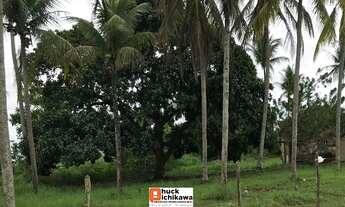 Imagem 3: Chácara de 10 tarefas COLÔNIA TREZE - Centro