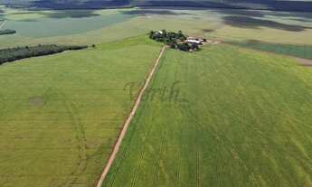 Imagem: Fazenda à venda, 1400ha, Nova Mutum