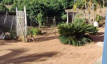 Imagem 4: CHACARA - FAISQUEIRA - SP