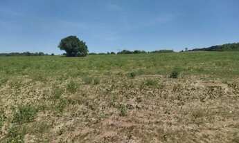 Imagem 3: Fazenda, propriedade, sitio, chácara, terreno, área territorial