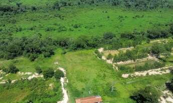 Imagem 6: FAZENDA PECUARIA 305 HECT STO ANTÔNIO LEVERGER