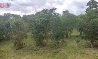Imagem 4: Fazenda para Venda em Centro Chapada Gaúcha-MG