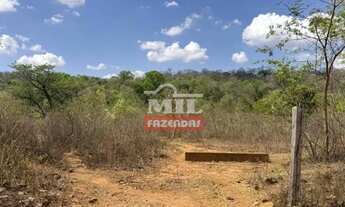 Imagem 6: Fazenda 17 Alqueires (82,28 hectares) Hidrolândia - GO