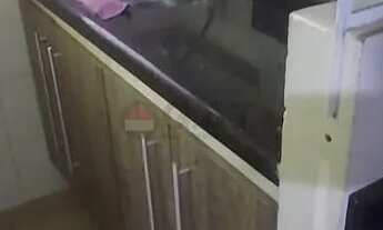 Imagem 2: Apartamento para locação na Vila Olímpia, Sorocaba-SP: 3 quartos, 1 sala, 1 banheiro, 1 va