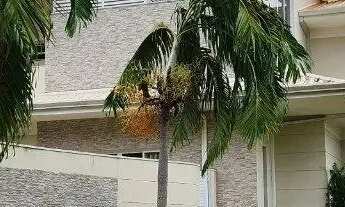 Imagem 2: Belvedere 1 470 metros quadrados com 4 quartos em Jardim Imperial - Cuiabá - MT