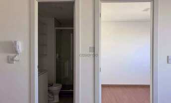 Imagem 6: Apartamento 1 quarto para aluguel Pelotas