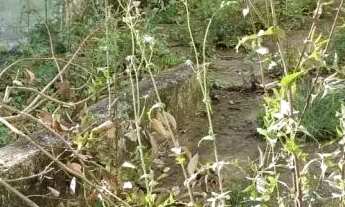 Imagem 4: AREA - PARQUE DAS NAÇÕES - SP