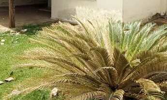 Imagem: IMOBILIÁRIA RE/MAX LIBRA ALUGA CASA