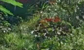 Imagem 6: Terreno à venda, 400 m² por R$ 219.990,00 - Prefeito José Walter - Fortaleza/CE