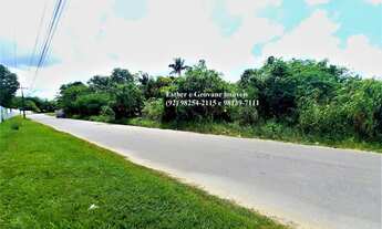 Imagem 2: Lote Terreno 7000 metros quadrados em Tarumã-Açu - Manaus - AM