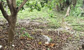 Imagem: Imóvel para venda possui 1000 metros quadrados