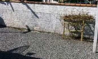 Imagem 6: Aluga temporada Casa de praia Ubatuba