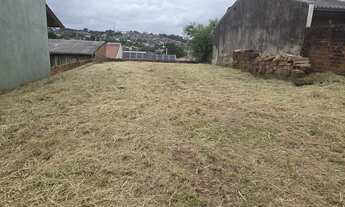 Imagem 3: Terreno bem localizado ao lado da guia lopes