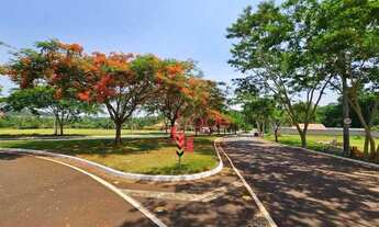 Imagem 7: Terreno à Venda em Condomínio Fechado no Bairro Residencial Terra de Santa Marta em Ribeir
