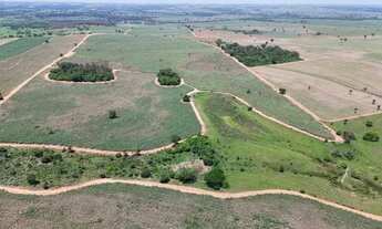 Imagem 4: Região de Jales/SP. São 66 alqueires com 55 alqueires em CANA!!!