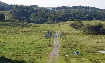 Imagem 2: Área à venda, 20000 m² por R$ 200.000,00 - Zona Rural - Criúva (Caxias do Sul)/RS