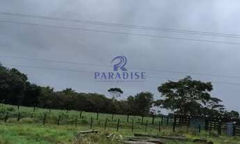 Imagem 3: Fazenda, Centro, Cachoeira - R$ 7.29 mi, Cod: 68870